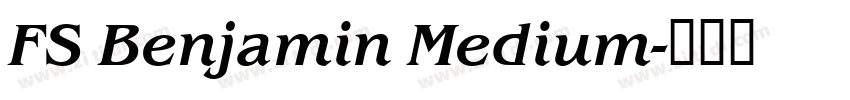 FS Benjamin Medium字体转换